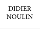 LOGO DIDIER NOULIN